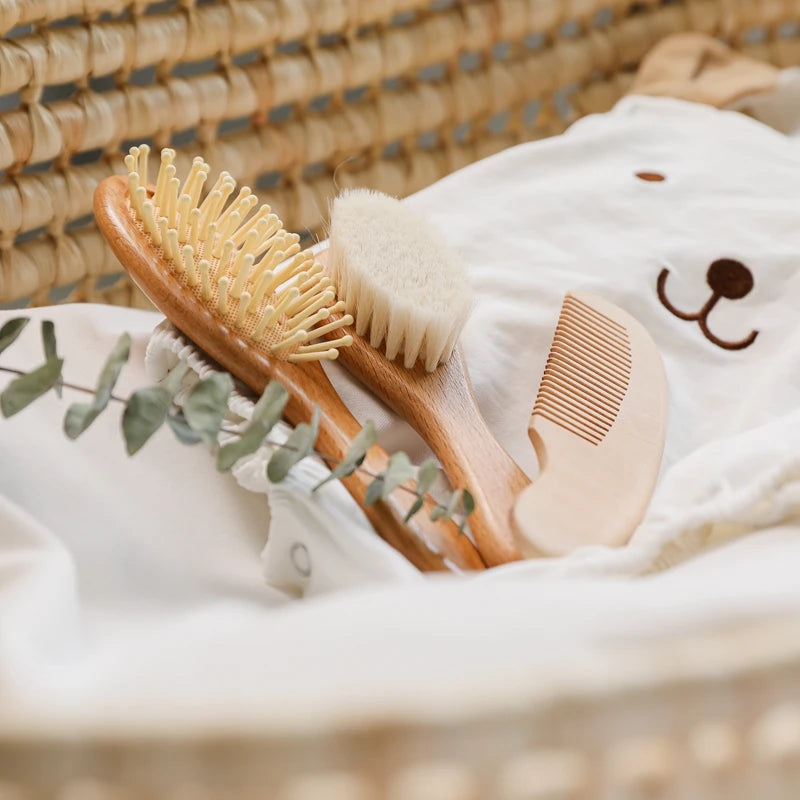 Set di pettini per capelli da 3pc e pennelli