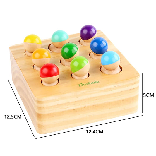 Montessori Wooden Peg Toy